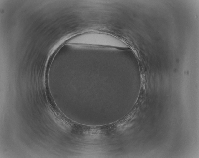 X0000081310196200701251751