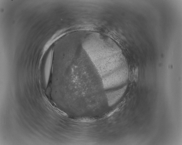 X0000081310198200701251751