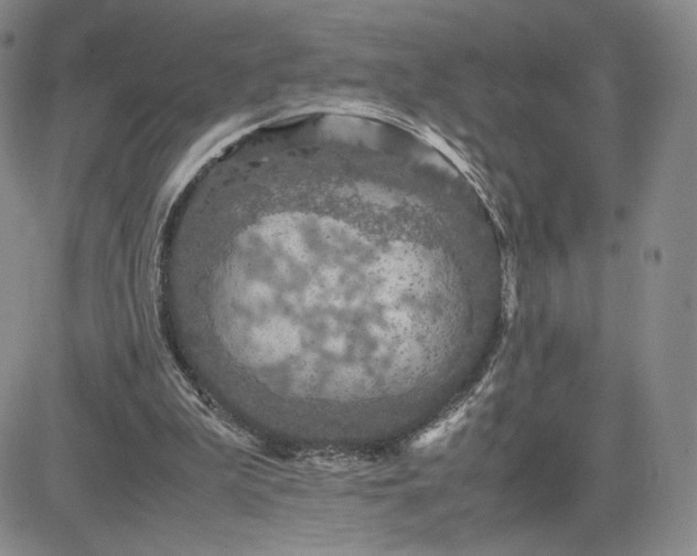 X0000081310199200701251751