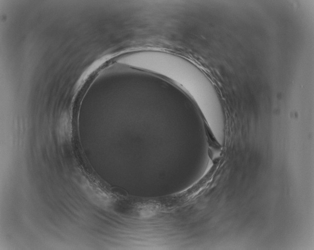 X0000081310200200701251751