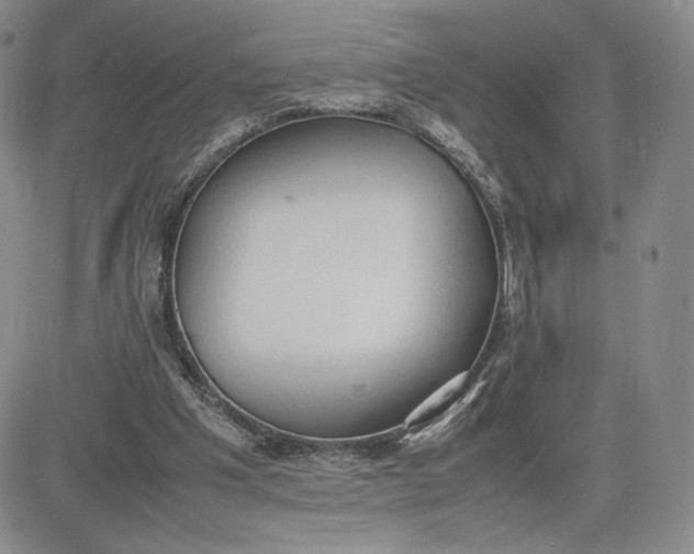 X0000081310201200701251751