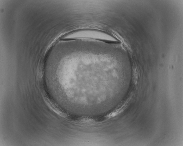 X0000081310203200701251751