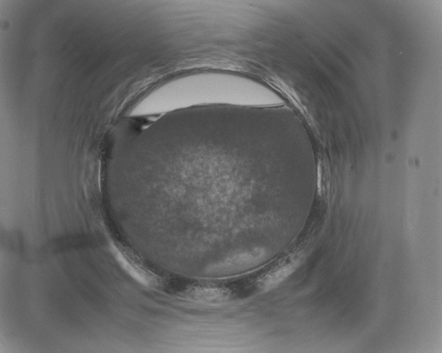 X0000081310205200701251751