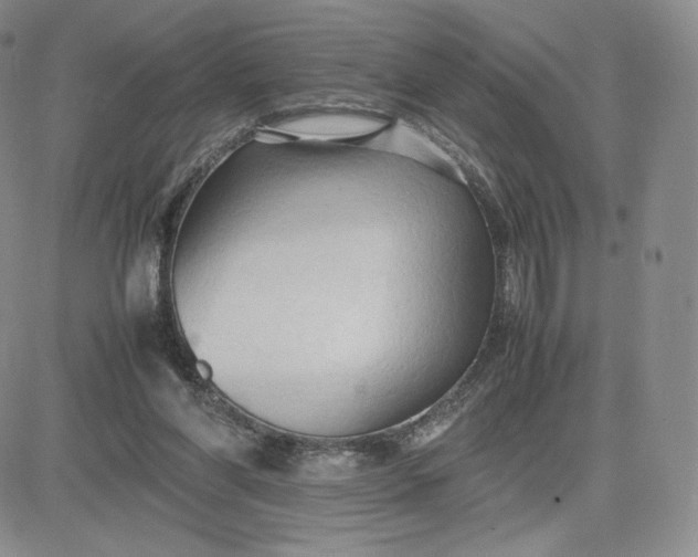 X0000081310206200701251751