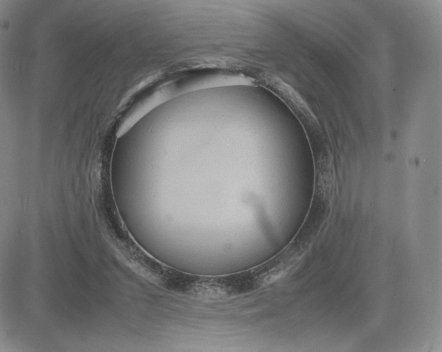 X0000081310207200701251751