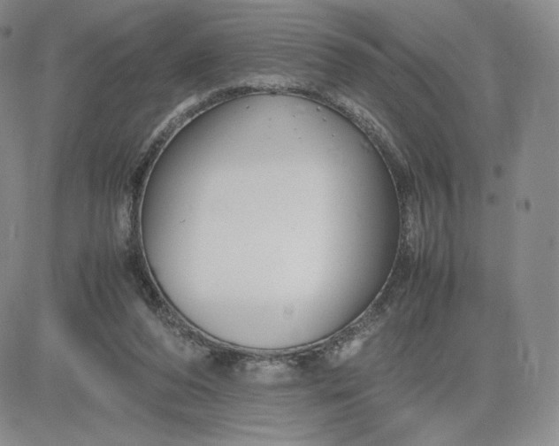 X0000081310208200701251751