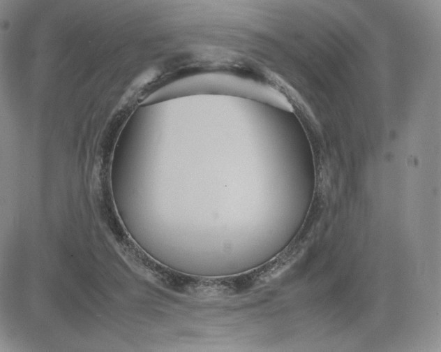 X0000081310209200701251751