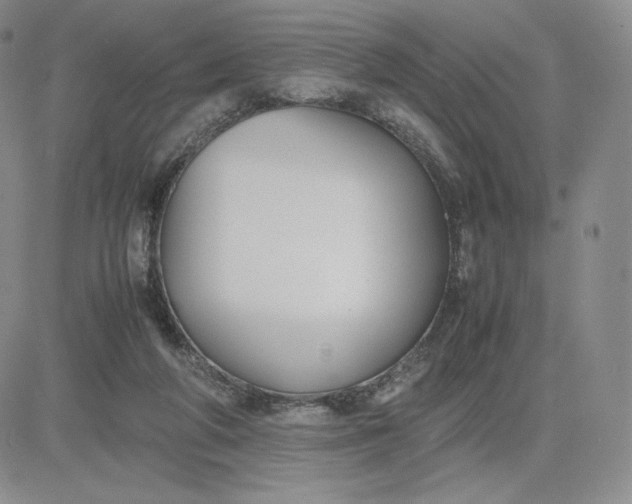 X0000081310210200701251751