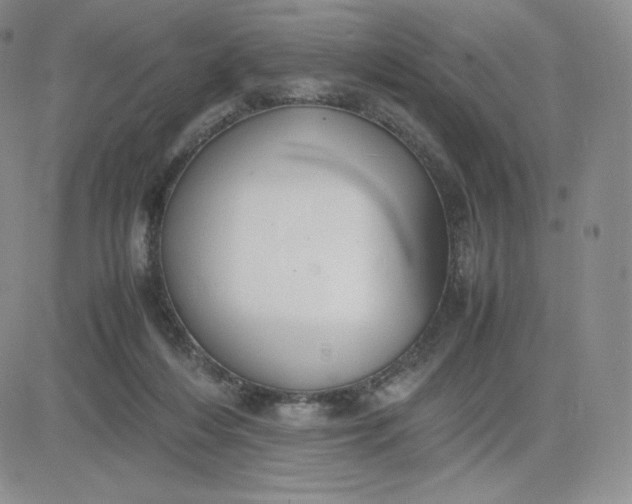 X0000081310216200701251751