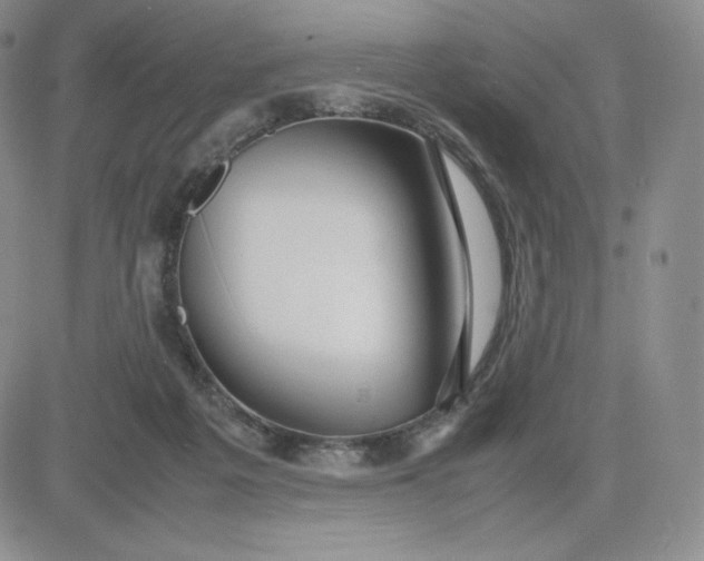 X0000081310217200701251751