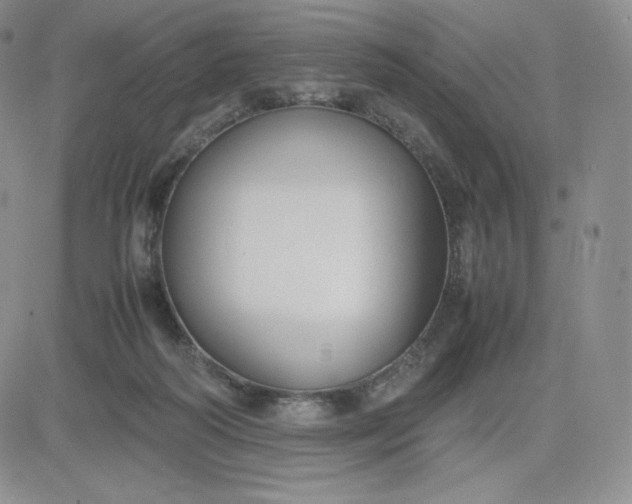 X0000081310218200701251751