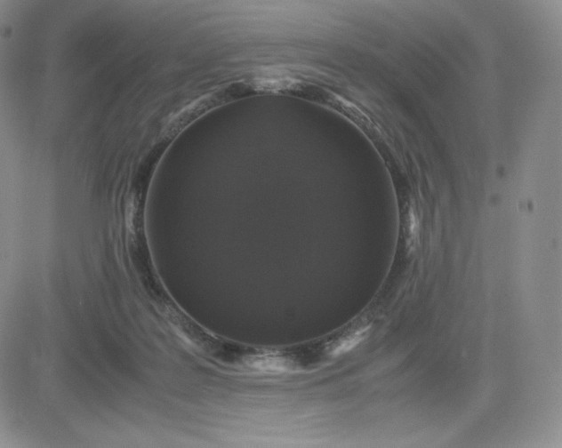 X0000081310219200701251751