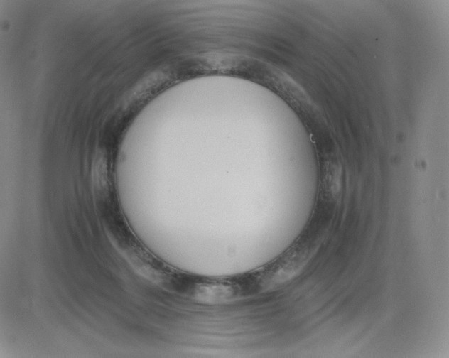 X0000081310220200701251751