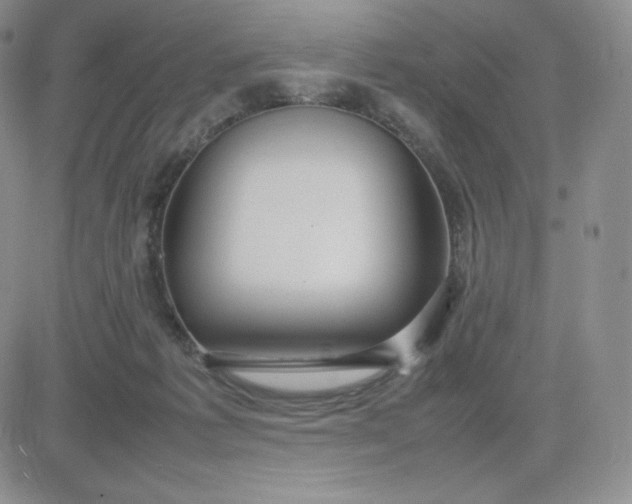 X0000081310221200701251751