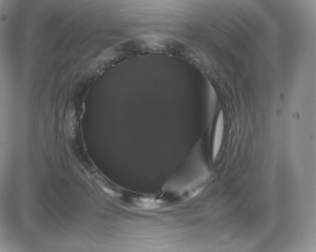 X0000081310223200701251751