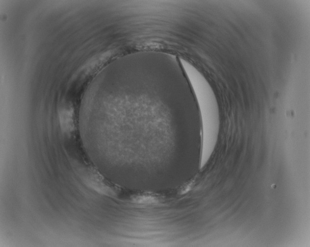 X0000081310224200701251751