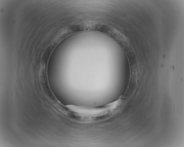 X0000081310225200701251751