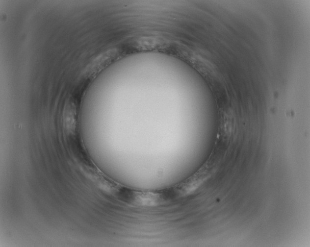 X0000081310226200701251751