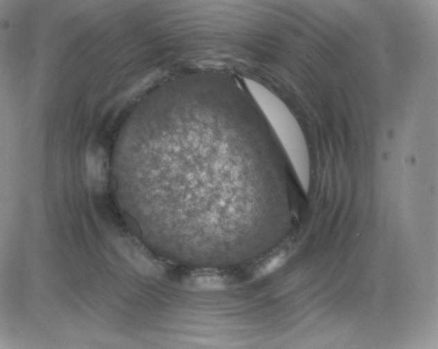 X0000081310228200701251751