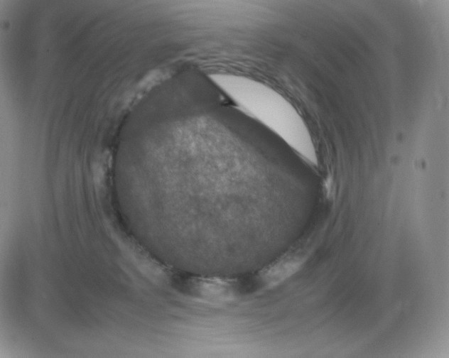 X0000081310229200701251751