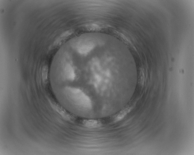 X0000081310230200701251751