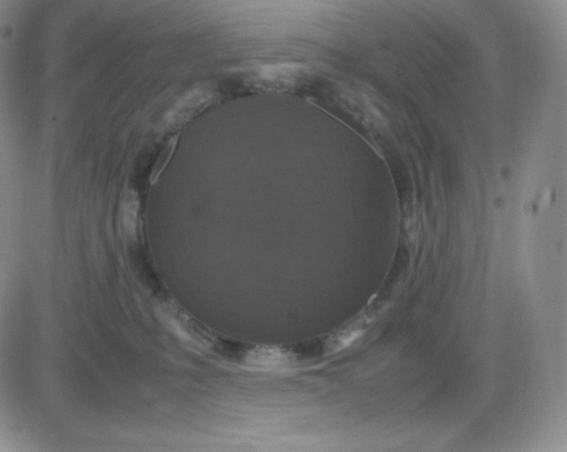 X0000081310231200701251751