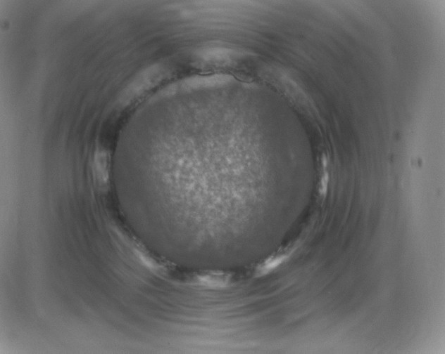 X0000081310232200701251751