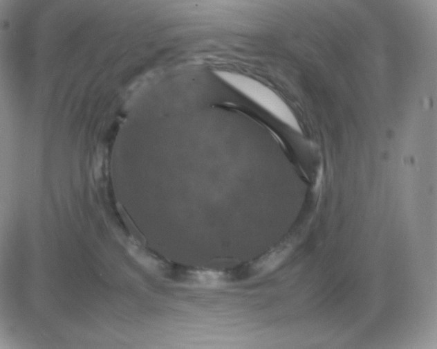 X0000081310233200701251751