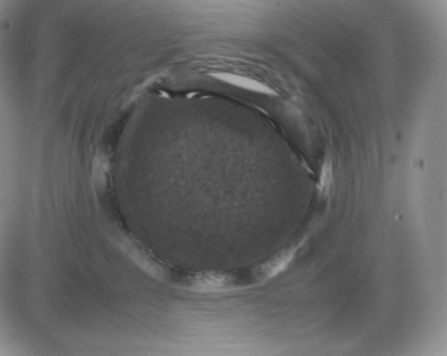 X0000081310235200701251751