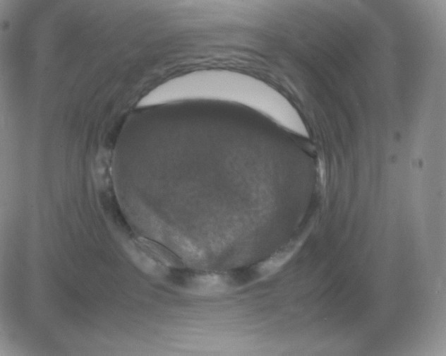 X0000081310237200701251751