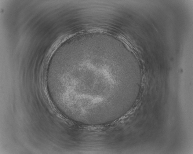 X0000081310241200701251750