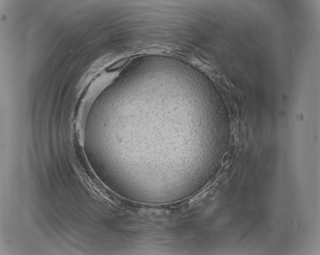 X0000081310242200701251750