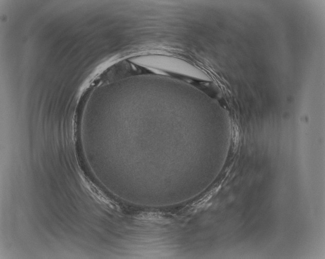 X0000081310244200701251750