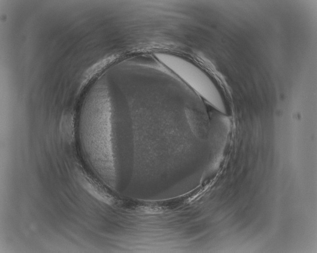 X0000081310250200701251750