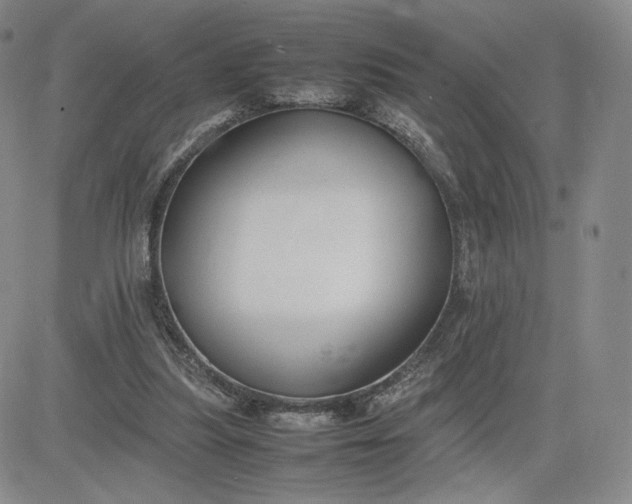 X0000081310251200701251750