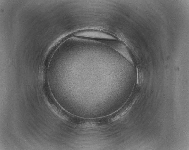 X0000081310252200701251750