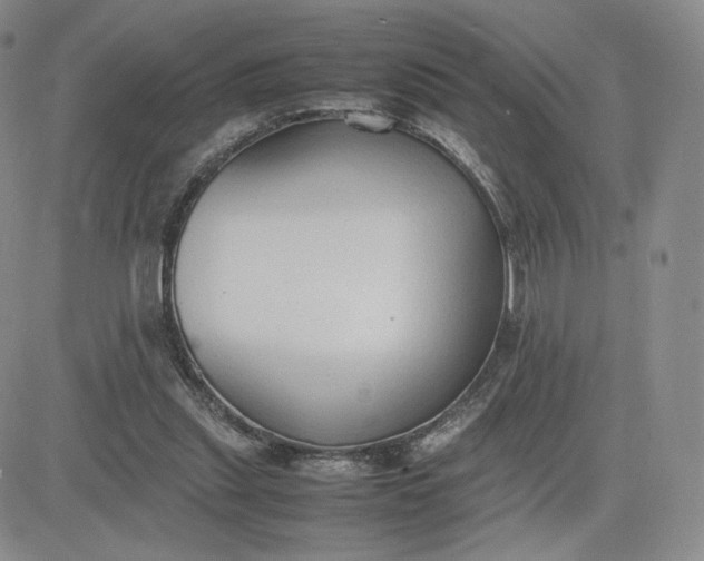 X0000081310253200701251750