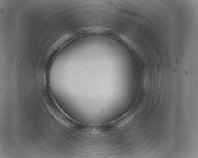 X0000081310254200701251750