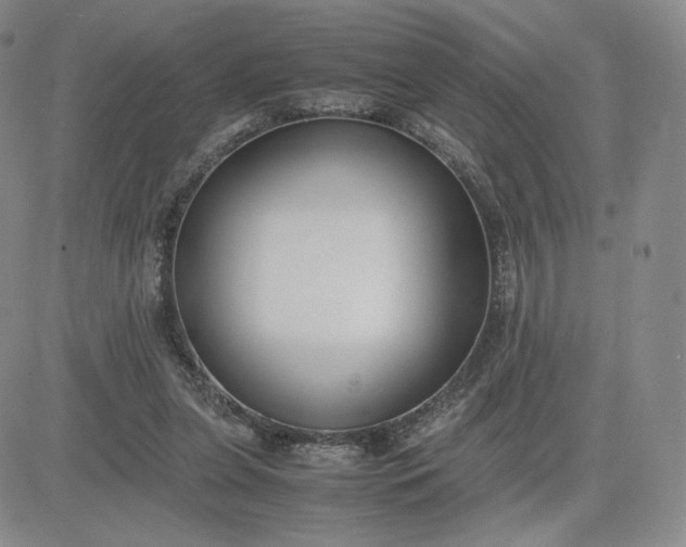 X0000081310255200701251750