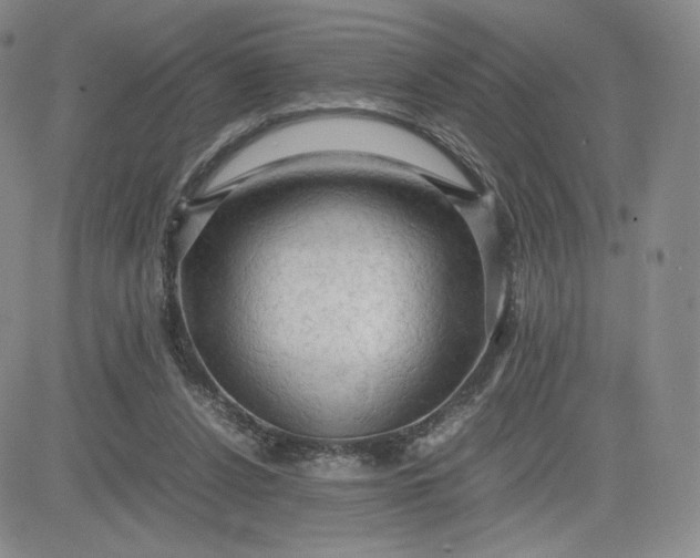 X0000081310256200701251750