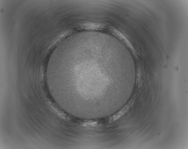 X0000081310257200701251750