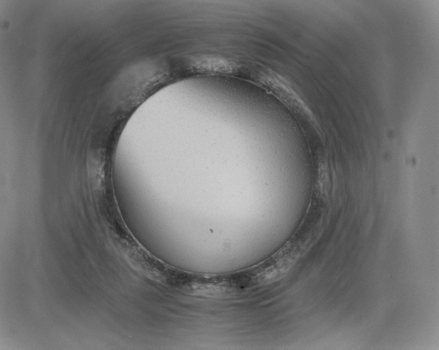 X0000081310259200701251750