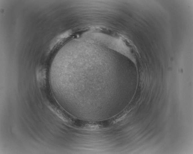 X0000081310260200701251750