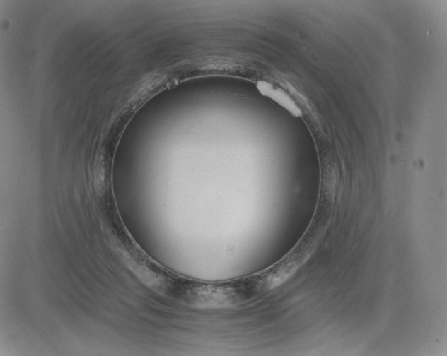 X0000081310261200701251750