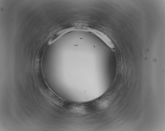 X0000081310263200701251750