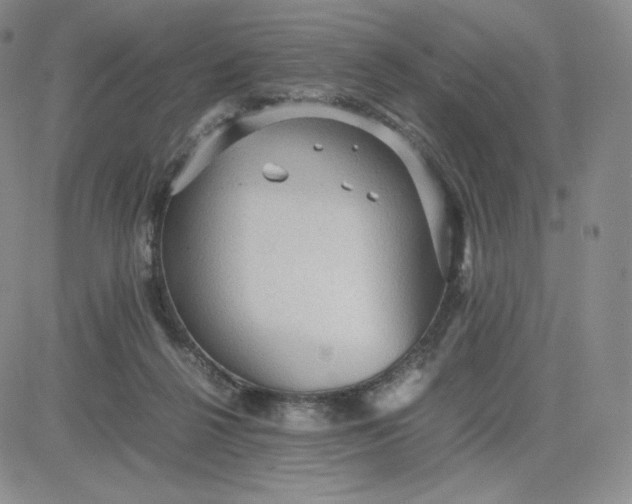 X0000081310264200701251750