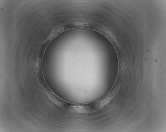 X0000081310265200701251750