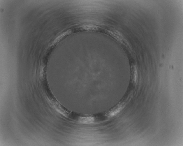 X0000081310266200701251750