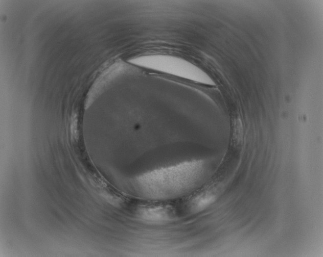 X0000081310267200701251750