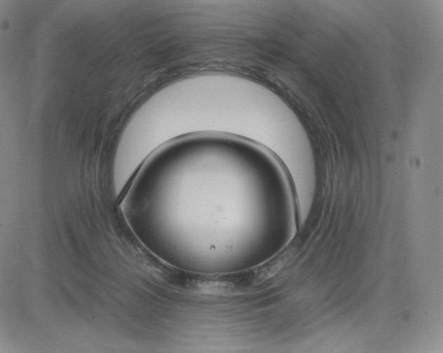 X0000081310268200701251750